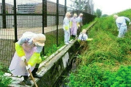 富山工場に隣接する中川放水路を清掃。