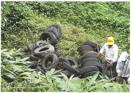 タイヤの不法投棄の現場発見（胡桃地区）崖下約30メートル