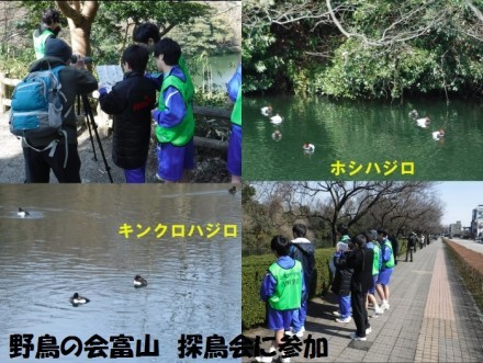 日本野鳥の会富山　探鳥会（古城公園）での研修会